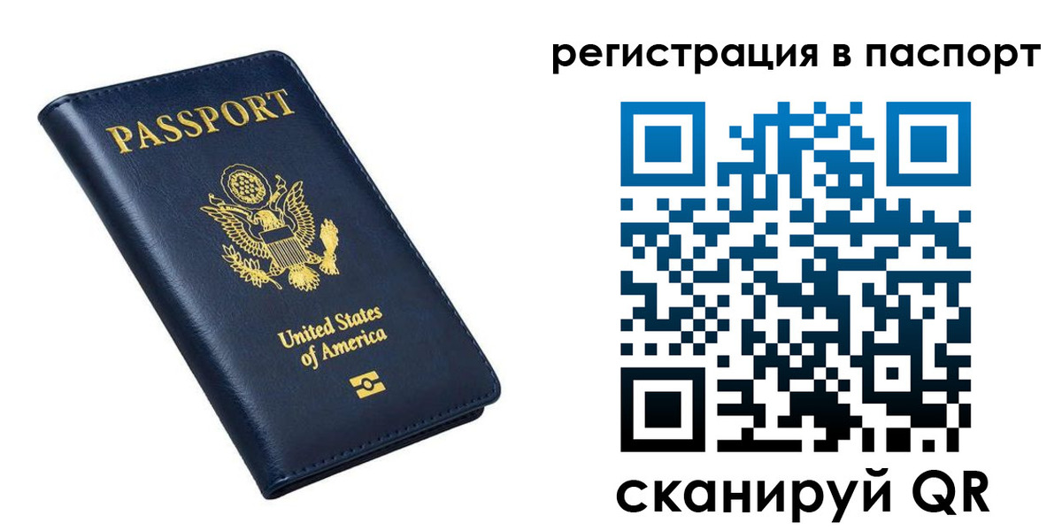 прописка в квартире в Зверево